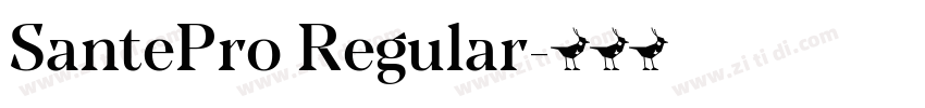 SantePro Regular字体转换